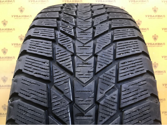 Roadstone Winguard Ice Plus 215/50 R17 95T