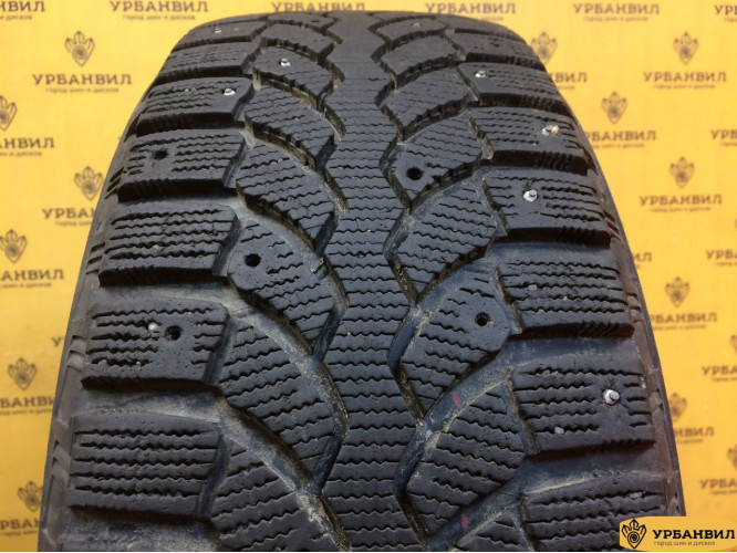 Bridgestone Blizzak DM-V1 225/60 R17